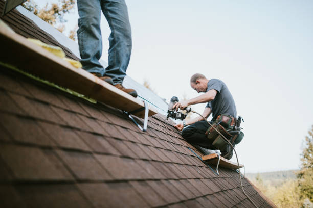 Best Roof Repair Services  in Marienville, PA